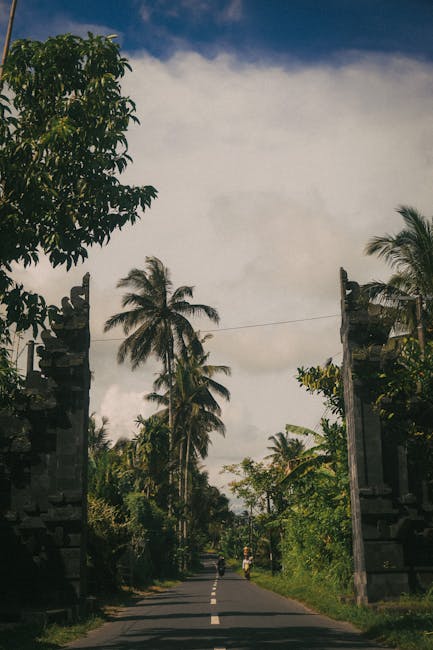 The image depicts a narrow tropical street lined with lush green trees and tall coconut palms on both sides. At the entrance of the road, there are dark, tall stone or concrete pillars that frame the view, partially covered with foliage. The road surface appears to be asphalt with a single white dashed line running centrally, indicating a two-way route. In the distance, a person is seen walking along the street, which is surrounded by vibrant greenery and dense foliage. The sky above is partly cloudy with patches of blue visible, suggesting daylight and fair weather. The scene exudes a peaceful, rural atmosphere suitable for a house removal or relocation setting, fitting with the context of moving services by Man with Van Forest Gate, although the image itself is set in a tropical environment rather than a typical UK street.