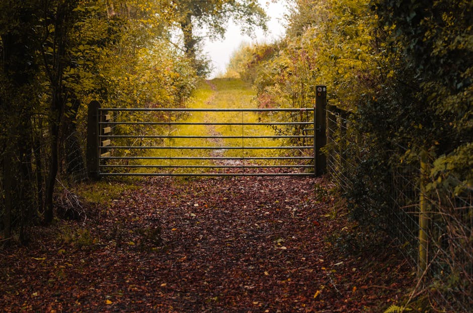 A metal roadside gate with horizontal bars and vertical posts on either side, positioned at the entrance to a narrow dirt path covered in fallen autumn leaves. The gate is closed and set between two fences made of wire mesh and wooden posts, with dense foliage and trees with yellow and green leaves on both sides framing the scene. The path beyond the gate extends into a grassy area with more trees, illuminated by natural daylight. The setting depicts an outdoor rural or suburban environment, commonly associated with house removals and home relocation processes, with the gate serving as a boundary to a property or access route, relevant to moving logistics and packing and moving activities.